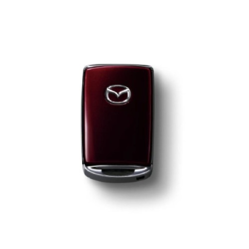 Key Cover Artisan Red _XL.jpg