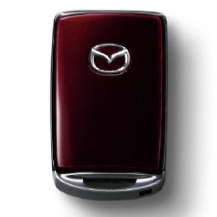 Key Cover Artisan Red _XL.jpg