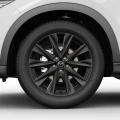 WWPCX5KF2-2.jpg